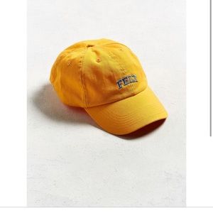 Urban Outfitters Felt Baseball Hat (Never Worn)